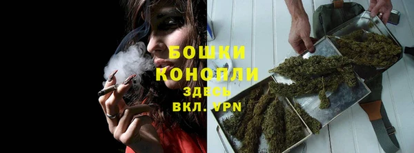 ПСИЛОЦИБИНОВЫЕ ГРИБЫ Аркадак