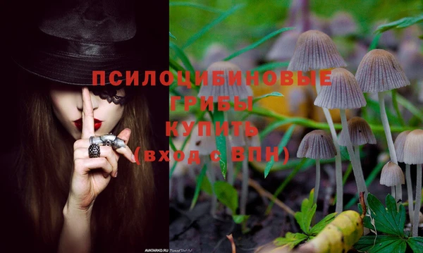 мяу мяу мука Армянск