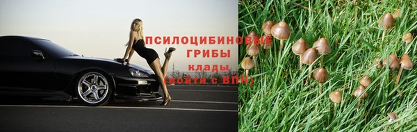 ПСИЛОЦИБИНОВЫЕ ГРИБЫ Аркадак