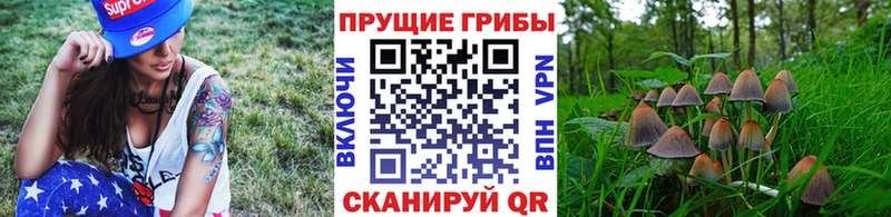 Псилоцибиновые грибы MAGIC MUSHROOMS  mega ONION  Тейково 